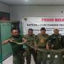 Kemunculan Ular Piton di Tengah Pemukiman Padat, Gegerkan Warga Kediri