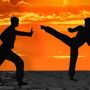 Ramai Gegara Pencak Silat SEA Games 2023, Apa Itu WO dalam Olahraga?