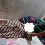 Murka Digampar Lagi Lahap Makan, Duda Bunuh Selingkuhan Pakai Sarung Salat