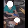Ditinggal Mandi, Ibu Ini Terkejut Lihat Bayinya 'Digergaji' oleh Balita