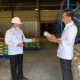 Jokowi Janjikan Pekan Depan Harga Gula dan Bawang Kembali Normal