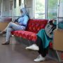 WHO Rekomendasikan Frasa Physical Distancing Ketimbang Social Distancing
