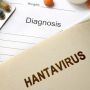 Bandara Soetta Perketat Pengawasan Penumpang dari 4 Negara Antisipasi Hantavirus