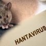 Geger Hantavirus, Ini 5 Gejala yang Dirasakan Jika Seseorang Terinfeksi