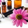 Ketahui 3 Manfaat Echinace Purpurea Bagi Imunitas Tubuh