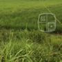 Unik, Pemain Barito Putera Isi Waktu Luang dengan Memancing