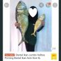 Nemu Penjual Bantal Bentuk Ikan Asin, Warganet: Tidur Berasa Jadi Liwet