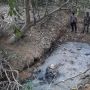 Bangkai Anak Gajah Ditemukan di Hutan Produksi Kawasan Aceh Timur