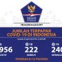 Update Corona RI 8 April: Alhamdulillah 222 Pasien COVID-19 Sembuh