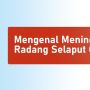 INFOGRAFIS: Mengenal Meningitis, Penyakit Radang Selaput Otak