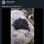 Kemunculan Makhluk Hitam Mirip Karakter Venom Gegerkan Warganet