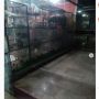 Viral Anjing Ditelantarkan di Pet Shop Mall Akibat PSBB Jakarta
