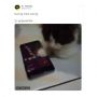 Aksi Kucing Main Worms Zone Curi Perhatian, Warganet: Pro Player Nih!