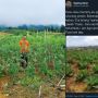 Dulu Disepelekan, Kisah Petani Permalukan Ibu Mantan Pacarnya Viral