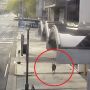 Australia Lockdown, Kanguru Lompat-lompat Hingga Pusat Perbelanjaan
