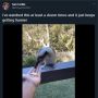 Plot Twist, Niat Kasih Makan Burung Pakai Makaroni, Endingnya Bikin Ngakak