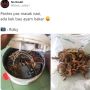 Puluhan Cicak Nyungsep di Rice Cooker, Netizen: Anggap Lauk Hari Ini