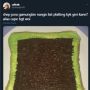 Kelewat Gabut, Netizen Ini Susun Rapi Meisis di Atas Roti Tawar