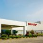 Sharp Stop Produksi TV Analog Tahun Ini