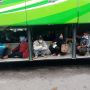 Masih Ada Supir Bus Diam-diam Angkut Pemudik, Pengusaha Otobus: Itu Oknum