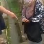 Seorang Ibu Maling Ayam Demi Beli Beras karena Kelaparan, Videonya Viral