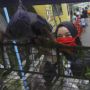 PHB Pekanbaru Dimulai Besok, Warga Bandel Denda Hingga Rp 1 Juta