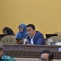 Legislator Komentari Dana Dukungan Program PEN untuk BUMN