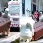 Petugas Medis  Tak Kuat Angkat Peti Jenazah, Diduga Kelelahan