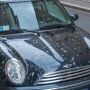 6 Cara Mengatasi Kotoran Burung Agar Bodi Mobil Tidak Lecet