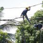 PLN Gratiskan Listrik Selama 6 Bulan