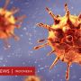 Mutasi virus Corona Membingungkan Para Ilmuwan