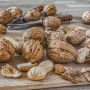 Mau Hari Lebih Produktif, Yuk Awali Hari dengan Ngemil Kacang-Kacangan