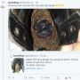 2 Bulan Lockdown, Pria Ini Temukan Telur Burung Menetas dalam Sepatunya