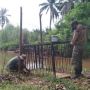 Hindari Konflik Manusia vs Buaya, BKSDA Agam Pasang Perangkap di Sungai