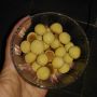 Resep Tamago Boro, Camilan Favorit Si Kecil untuk Hari Raya Idul Fitri