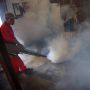 Waspada! Penyakit Chikungunya Merebak di Kabupaten Bondowoso, Ini Gejalanya