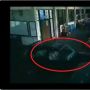 Video Mobil Parkir di Bengkel Sekolah Bisa Gerak Sendiri, Ini Dia Faktanya