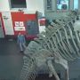 Lakukan Tur Dini Hari, Pria Ini Terobos Museum dan Selfie dengan Dinosaurus