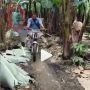 Seorang Pria Pamer Cara Kece Panen Pisang, Warganet: Ini Baru Kerja Cerdas!