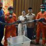 Ular Sanca Sepanjang 3,5 Meter Muncul dari Dapur Rumah Makan Padang