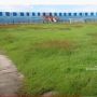 Stadion Persela Lamongan Tak Terawat, Lapangannya Dipenuhi Rumput Liar
