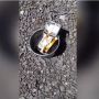 Viral, Samsung Galaxy A20e Meledak!
