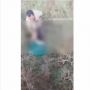 Viral Video Pasangan Mesum di Semak-semak Dipergoki Warga