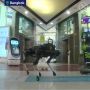 Di Thailand, Robot Anjing Berkeliaran Bagikan Hand Sanitizer