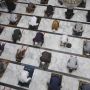 Salat Jumat, Ini Tata Cara Lengkapnya