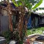 Terlilit Kemiskinan, Keluarga Dedi Puluhan Tahun Tinggal di Tengah Kuburan