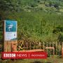 PSBB, Kawasan Wisata Lembang Dikunjungi Turis Lokal: Sudah Jenuh di Rumah