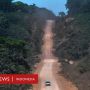 Covid-19: Apakah Pandemi Turut Berkontribusi dalam Perusakan Hutan Tropis?
