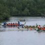Anggaran Terpangkas Covid-19, Perayaan Dragon Boat Race Batal Digelar