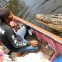 Profil dan Biodata Pak Ambo, Pawang Buaya Riska Viral Punya Hubungan Emosional dengan Reptil
